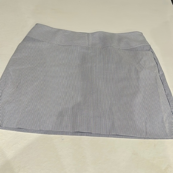 S.C. & Co. Blue Stripe 360° Tummy Control Skort XXL/ XXG - Picture 3 of 13